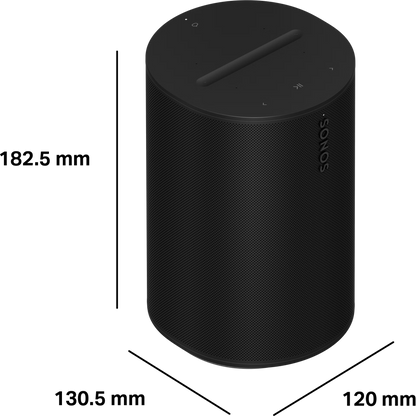 Sonos Era 100 Kablosuz Hoparlör