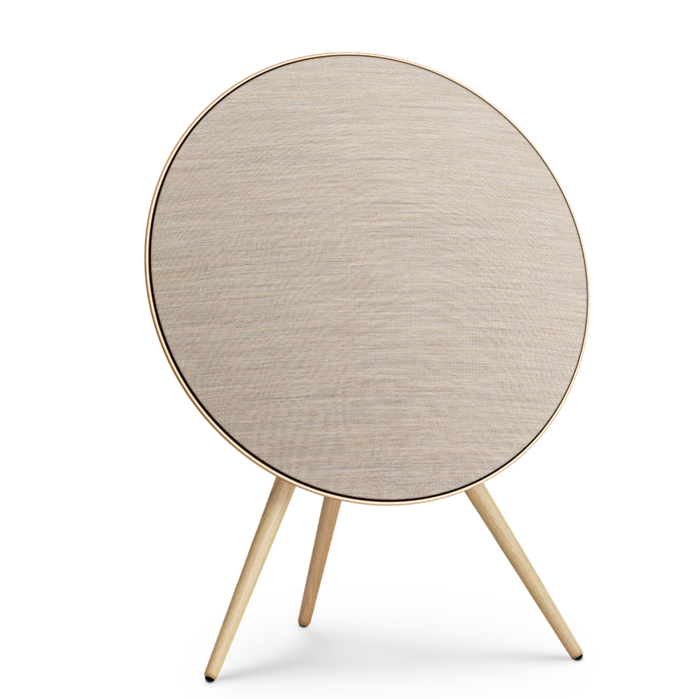 Bang & Olufsen Beosound A9 Multiroom Kablosuz Hoparlör