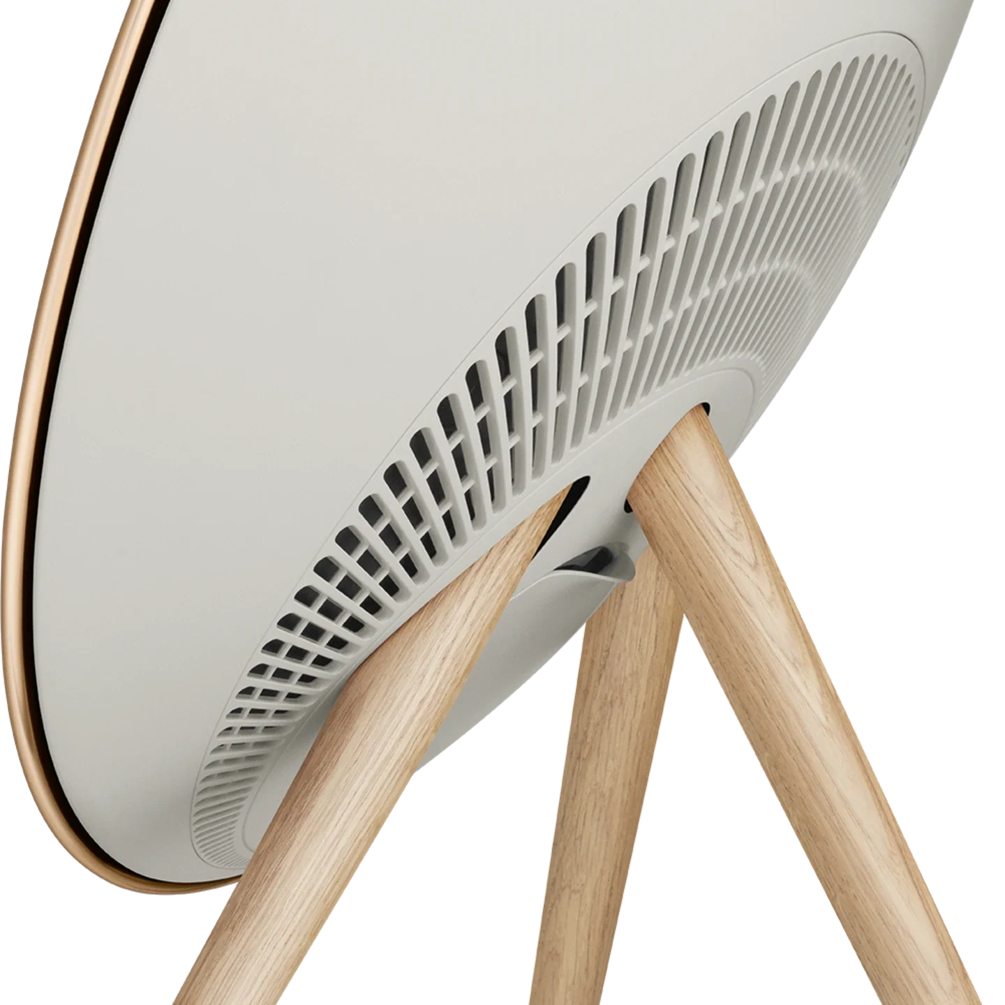 Bang & Olufsen Beosound A9 Multiroom Kablosuz Hoparlör