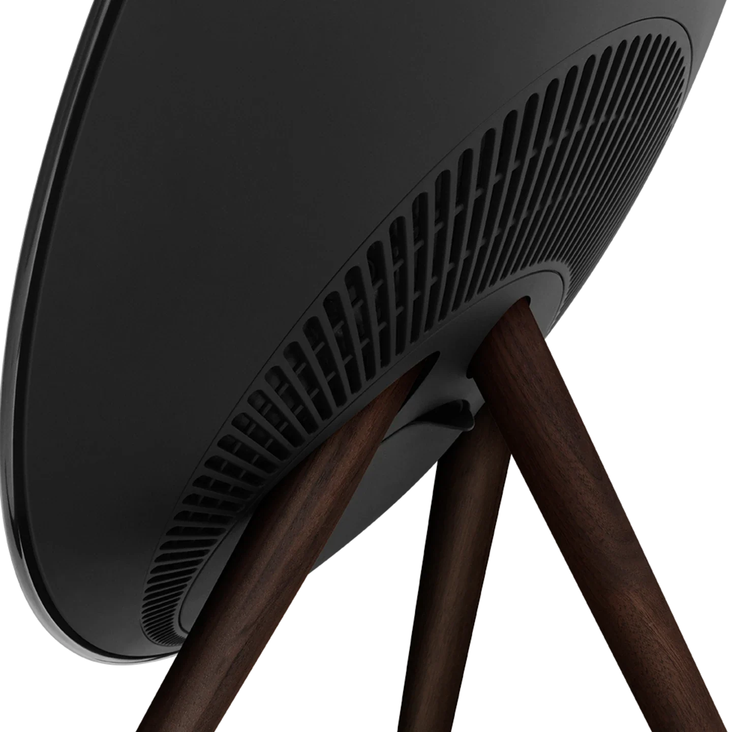 Bang & Olufsen Beosound A9 Multiroom Kablosuz Hoparlör