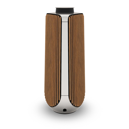 Bang & Olufsen BeoLab 50 Kablosuz High-End Aktif Hoparlör