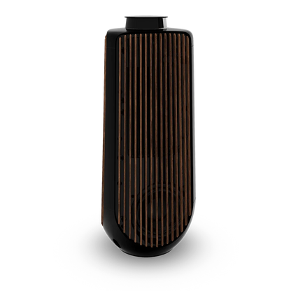 Bang & Olufsen BeoLab 50 Kablosuz High-End Aktif Hoparlör