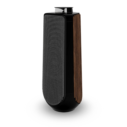 Bang & Olufsen BeoLab 50 Kablosuz High-End Aktif Hoparlör