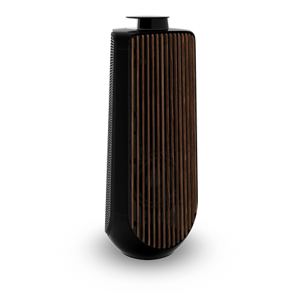 Bang & Olufsen BeoLab 50 Kablosuz High-End Aktif Hoparlör