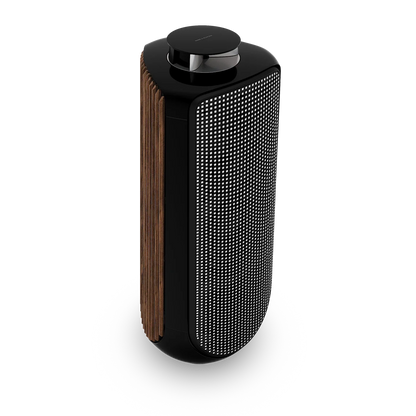 Bang & Olufsen BeoLab 50 Kablosuz High-End Aktif Hoparlör