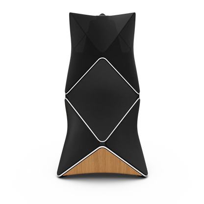 Bang & Olufsen BeoLab 90 Kablosuz High-End Aktif Hoparlör