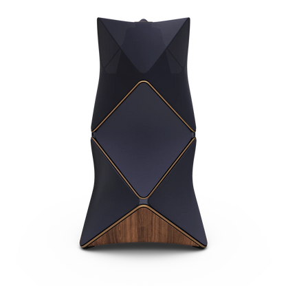 Bang & Olufsen BeoLab 90 Kablosuz High-End Aktif Hoparlör