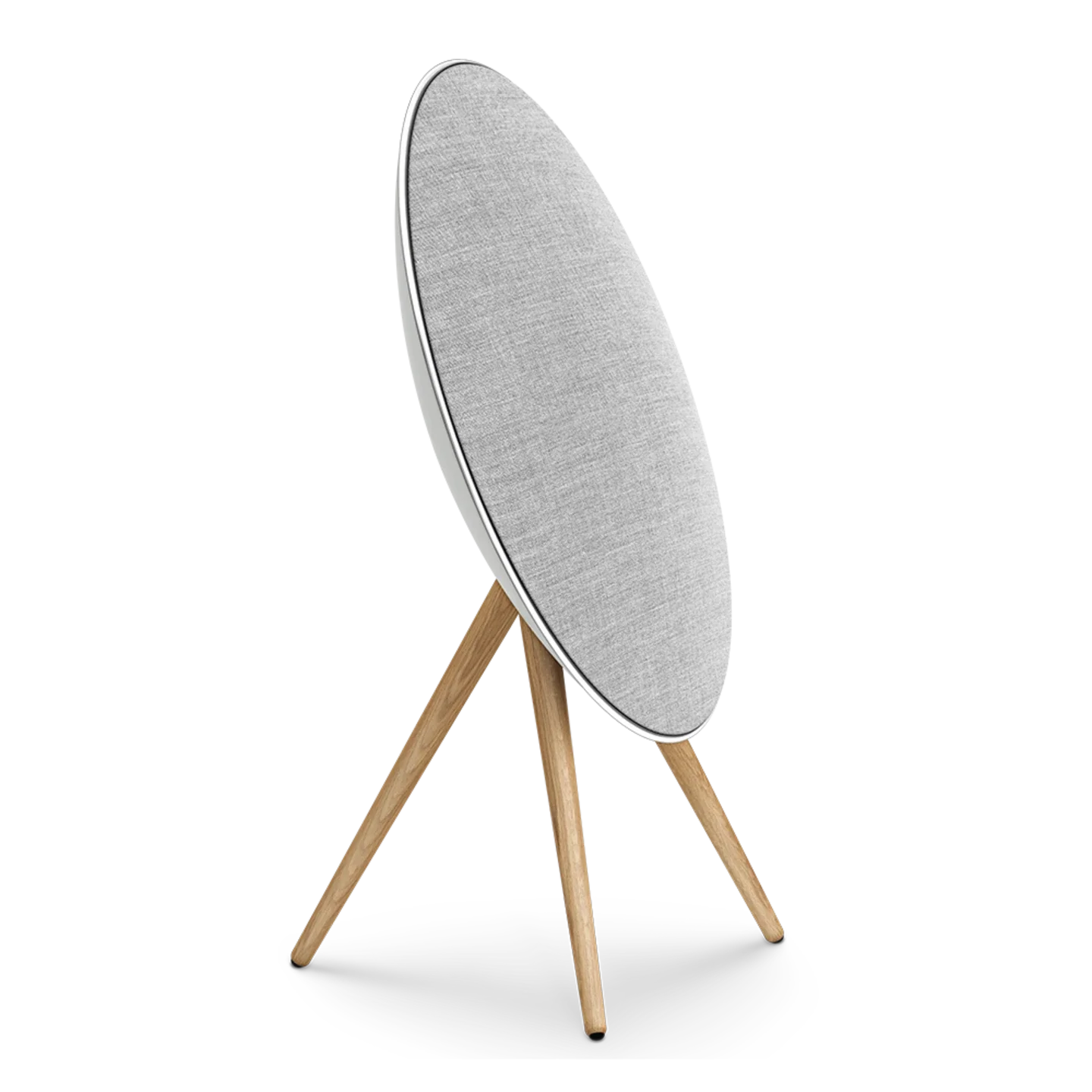 Bang & Olufsen Beosound A9 Multiroom Kablosuz Hoparlör