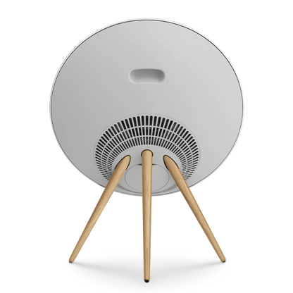 Bang & Olufsen Beosound A9 Multiroom Kablosuz Hoparlör