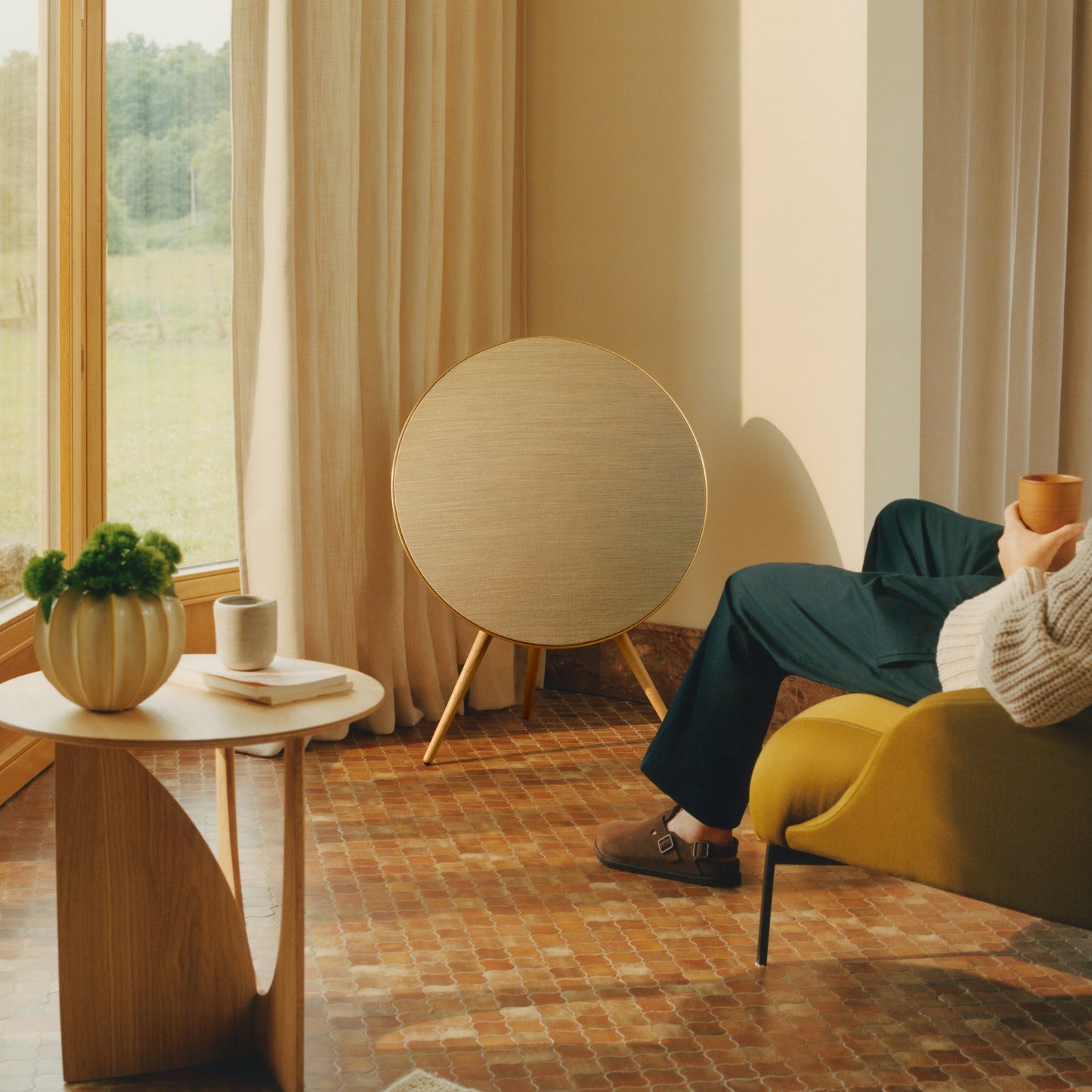 Bang & Olufsen Beosound A9 Multiroom Kablosuz Hoparlör