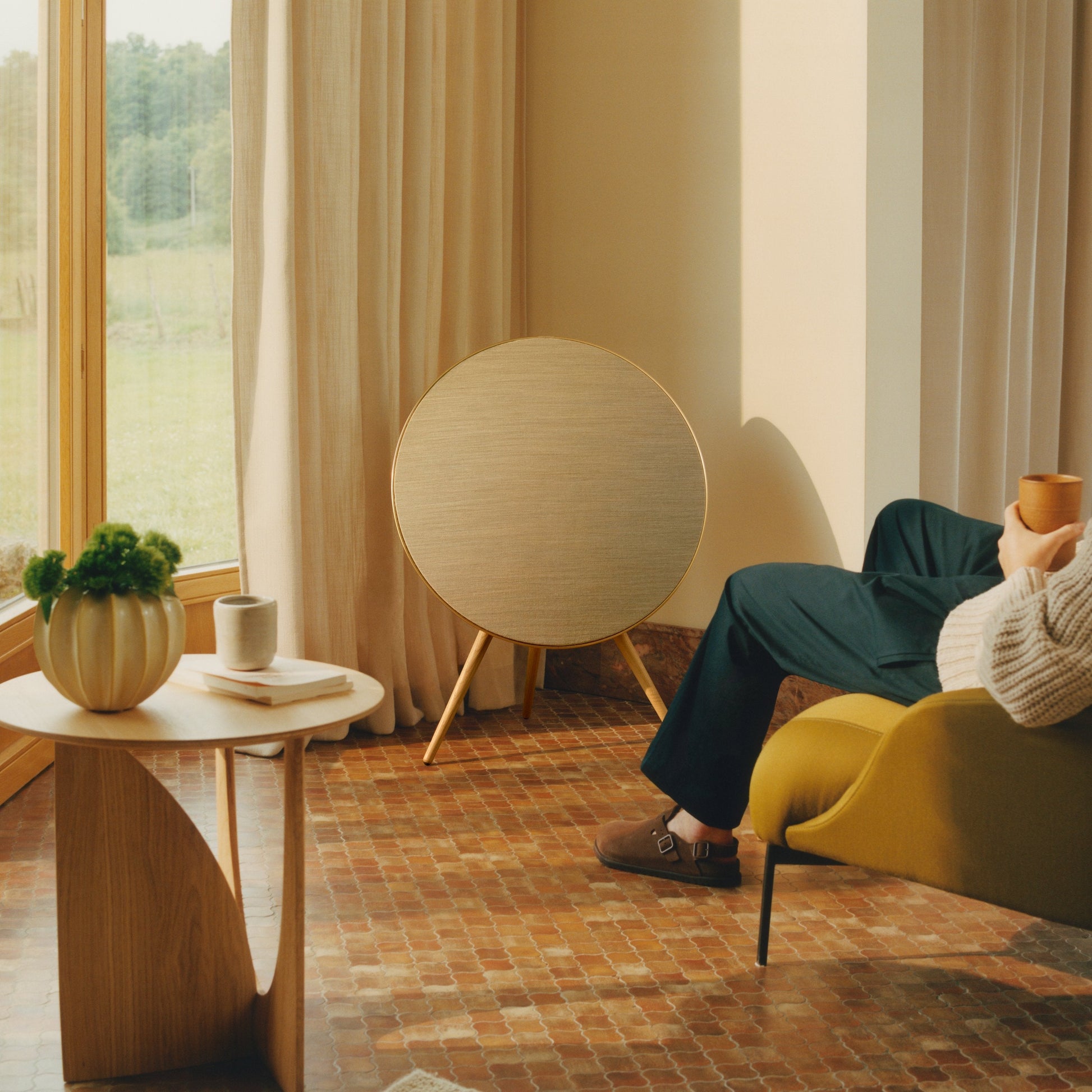 Bang & Olufsen Beosound A9 Multiroom Kablosuz Hoparlör