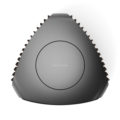 Bang & Olufsen BeoLab 50 Kablosuz High-End Aktif Hoparlör