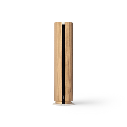 Bang & Olufsen Beosound Emerge Multiroom Hoparlör