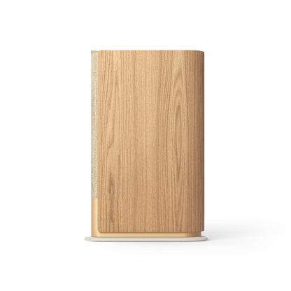 Bang & Olufsen Beosound Emerge Multiroom Hoparlör