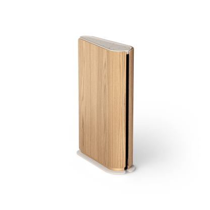 Bang & Olufsen Beosound Emerge Multiroom Hoparlör