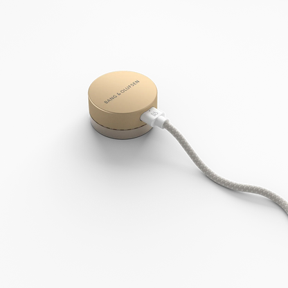 Bang & Olufsen Beosound Level Taşınabilir Multiroom Kablosuz Hoparlör