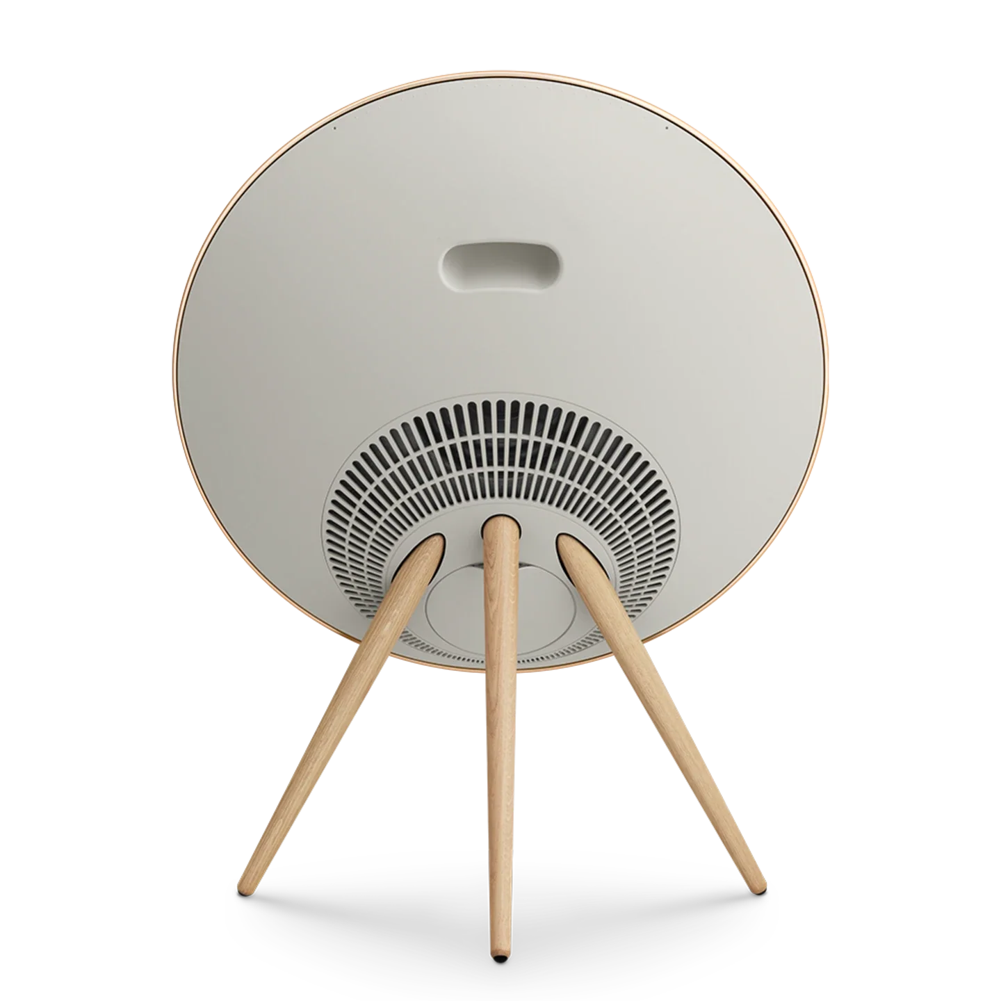 Bang & Olufsen Beosound A9 Multiroom Kablosuz Hoparlör