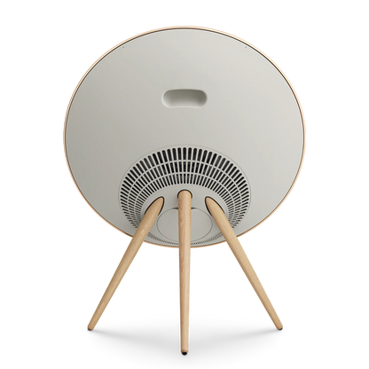 Bang & Olufsen Beosound A9 Multiroom Kablosuz Hoparlör