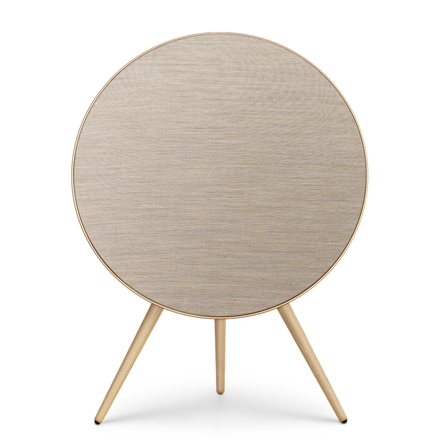 Bang & Olufsen Beosound A9 Multiroom Kablosuz Hoparlör