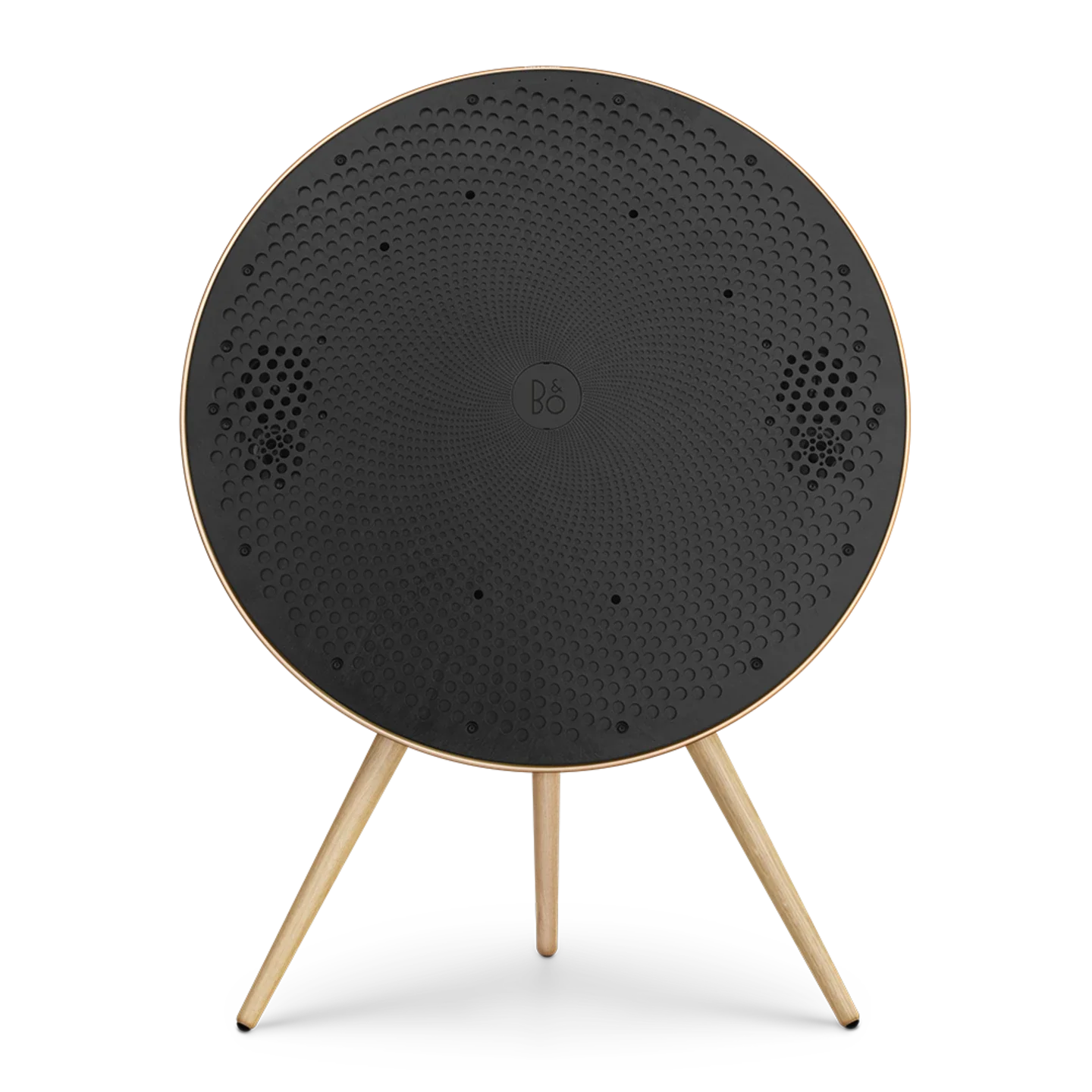 Bang & Olufsen Beosound A9 Multiroom Kablosuz Hoparlör