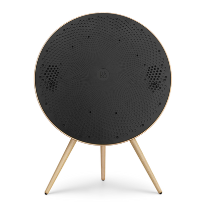 Bang & Olufsen Beosound A9 Multiroom Kablosuz Hoparlör