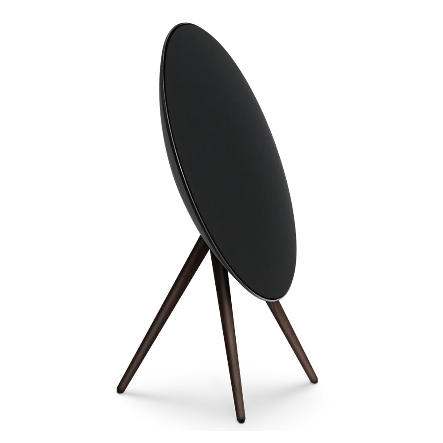 Bang & Olufsen Beosound A9 Multiroom Kablosuz Hoparlör