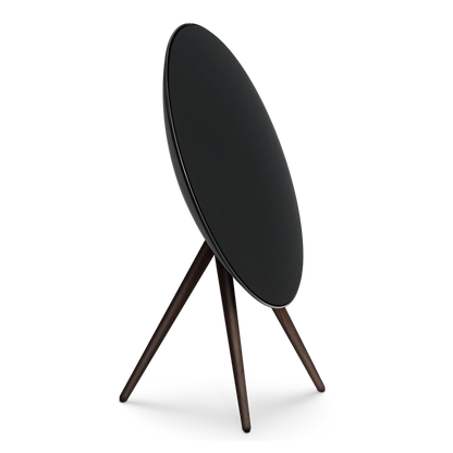 Bang & Olufsen Beosound A9 Multiroom Kablosuz Hoparlör