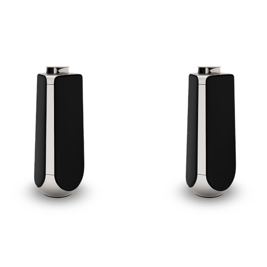 Bang & Olufsen BeoLab 50 Kablosuz High-End Aktif Hoparlör